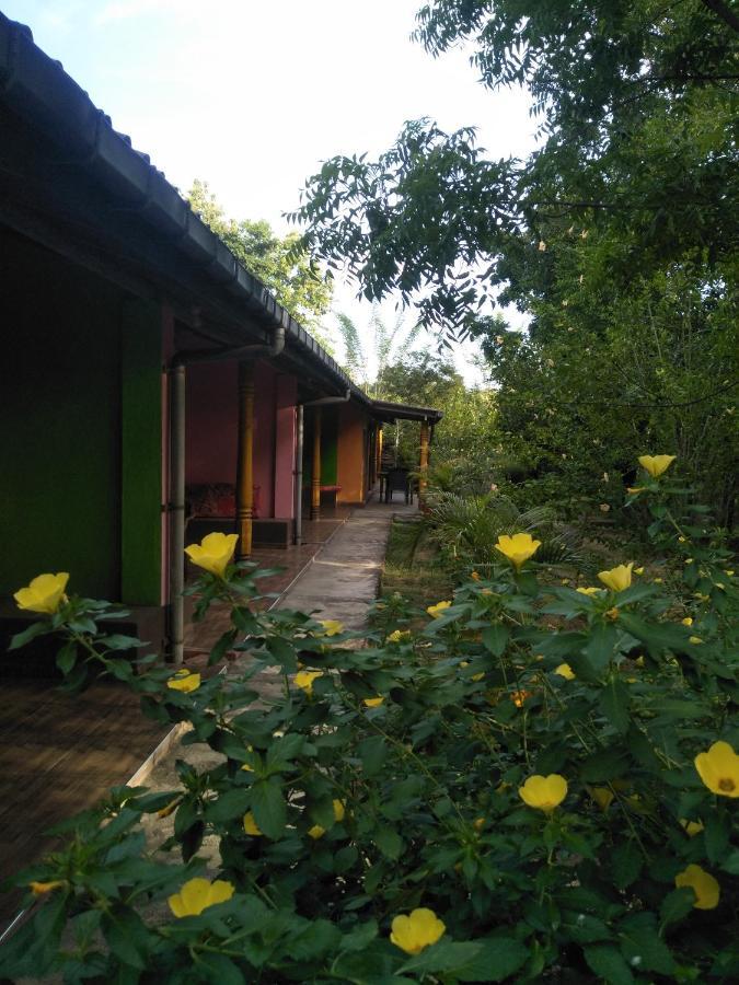 The Nest Hotel Mahiyanganaya Buitenkant foto