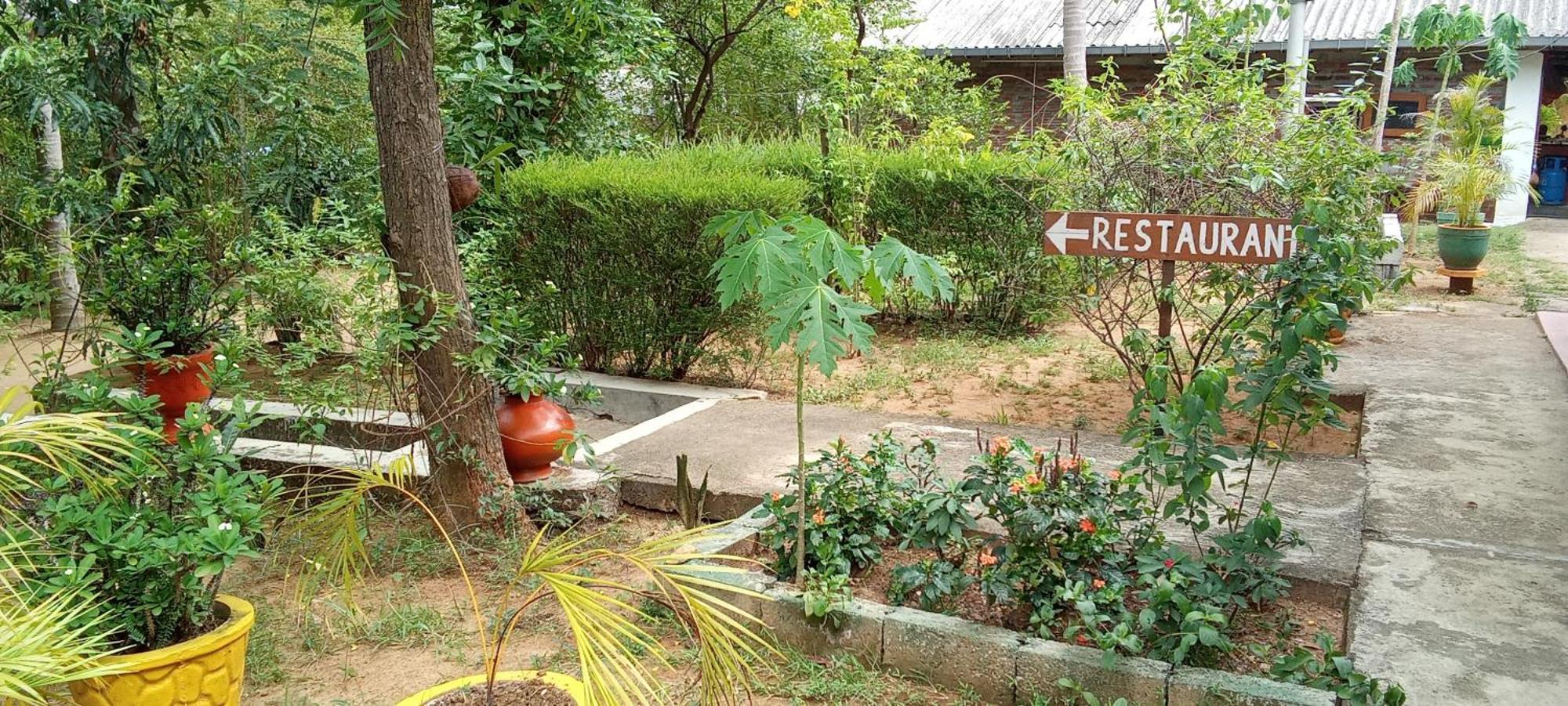 The Nest Hotel Mahiyanganaya Buitenkant foto