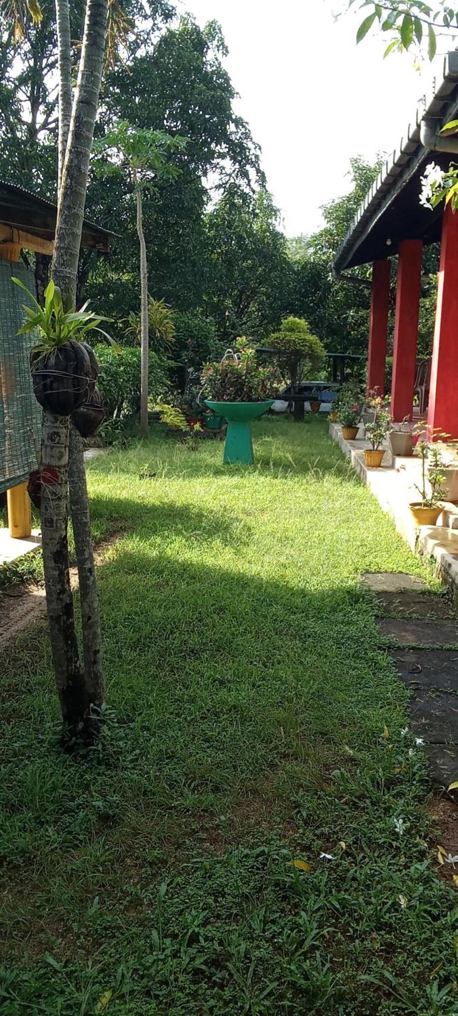The Nest Hotel Mahiyanganaya Buitenkant foto